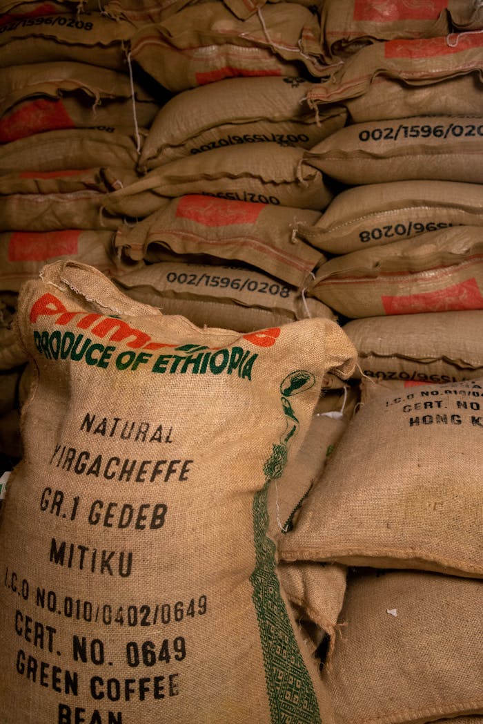 Rows of burlap bags filled with Ethiopian Yirgacheffe coffee beans stacked in a warehouse.