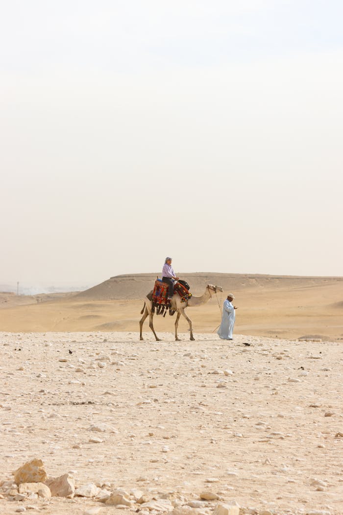 portfolio-03 Camel ride in the vast Egyptian desert, showcasing traditional Egyptian culture and landscape.