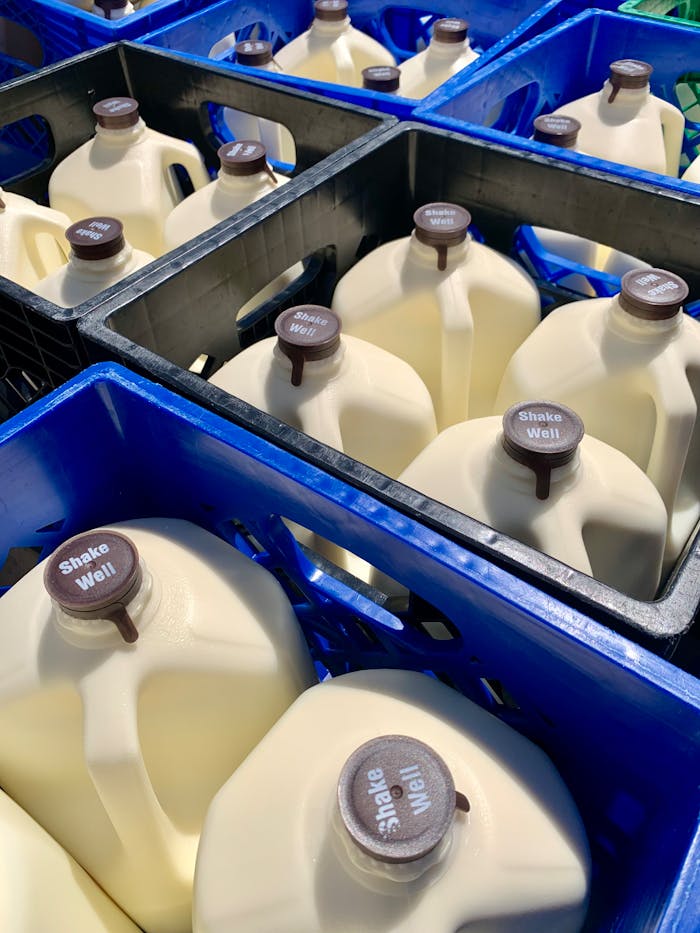 Rows of milk jugs in blue crates, showcasing dairy farming products ready for distribution.