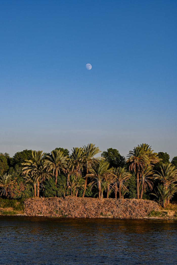 portfolio-02 pexels-photo-35506458.jpeg